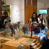 Un grupo de niños y jóvenes observa vitrinas con animales taxidarmizados e interactúa con exhibiciones en una sala del Museo de Ciencias Naturales Florentino Ameghino.